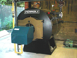 Ferroli Thermal Fluid Boiler